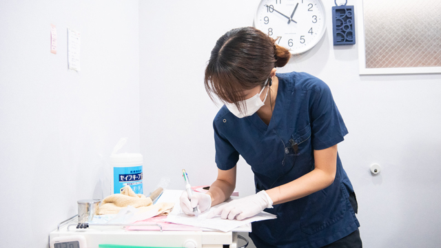 江東プラス歯科・矯正歯科の歯科衛生士求人その他画像8