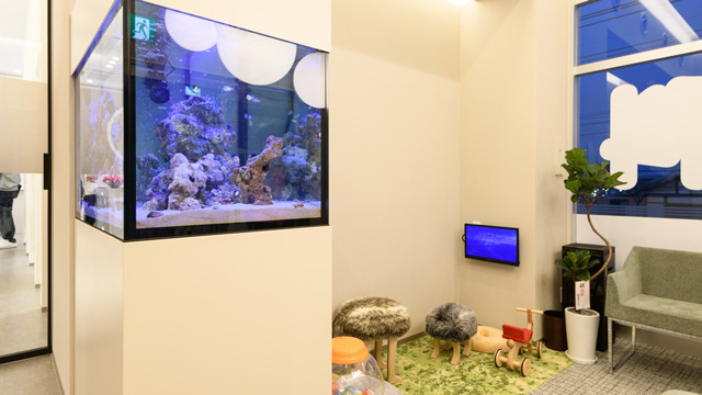 岩槻キャッスルタウン歯科クリニックの歯科衛生士求人その他画像2