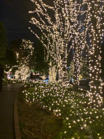 お休み中のけいです✨