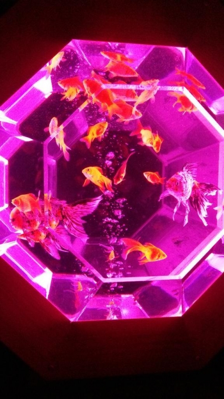 スケジュール♡