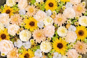 ありがとうございました☺️