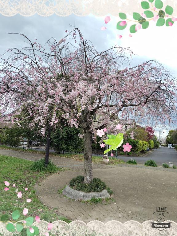 ☆4/27出勤予定です☆