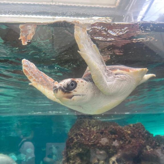 また明日ね🐾💕︎