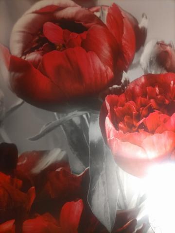 酔っちゃった…