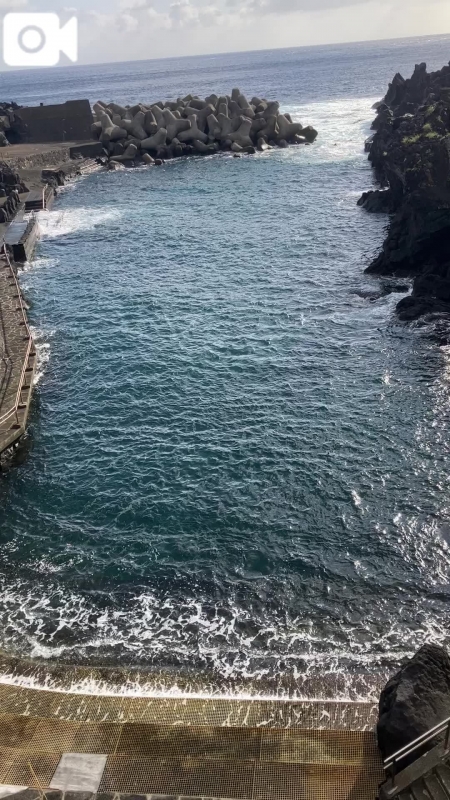 動画のテスト投稿