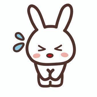 申し訳ありません…