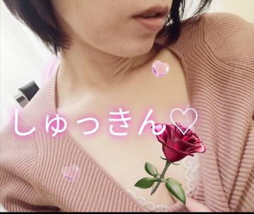 出勤しましたー！