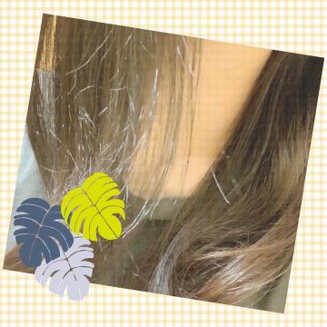 こんにちは·͜· ︎︎ᕷ