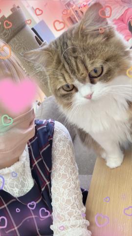 急遽出勤します