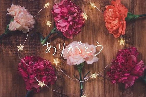 ＊昨日のおれい2＊