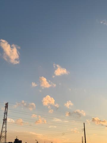 明日出勤します