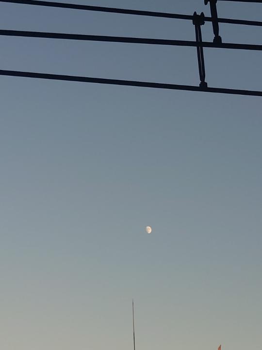 初めて見ました