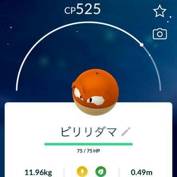 ポケモン日記