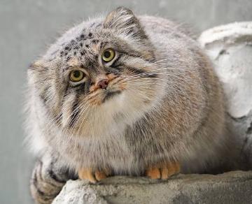 夏も終わりですね