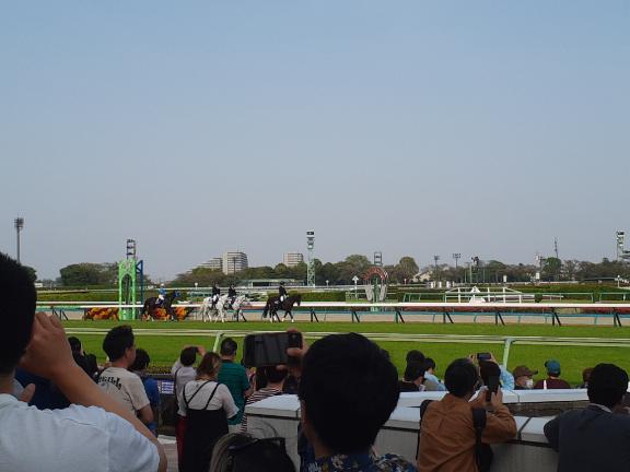 りんねの競馬日記