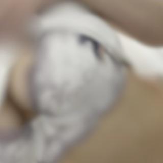 出勤しています！