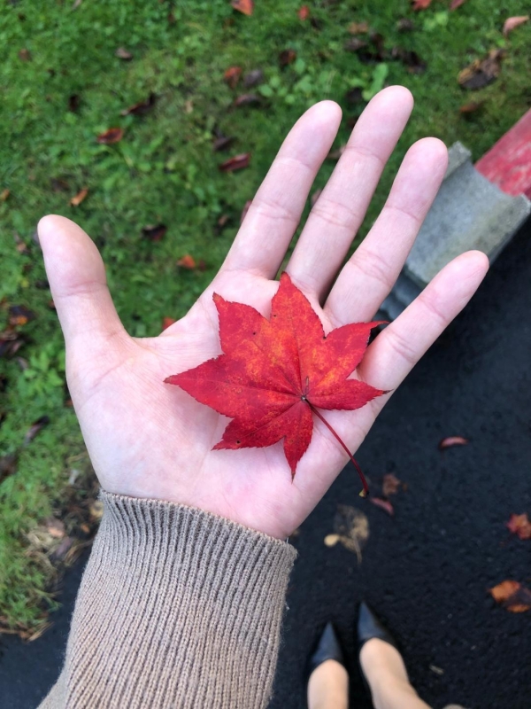 出勤しました❣️