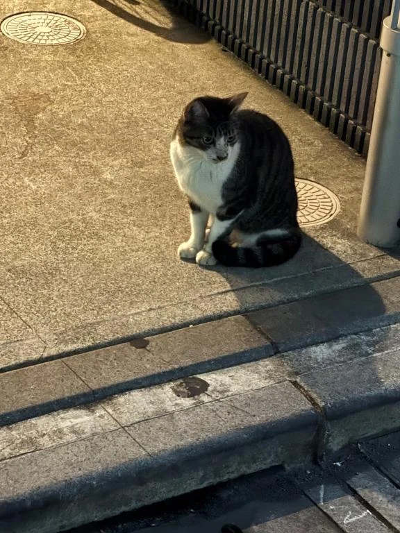 昨日はありがとうございました
