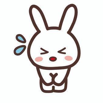 申し訳ありません…！