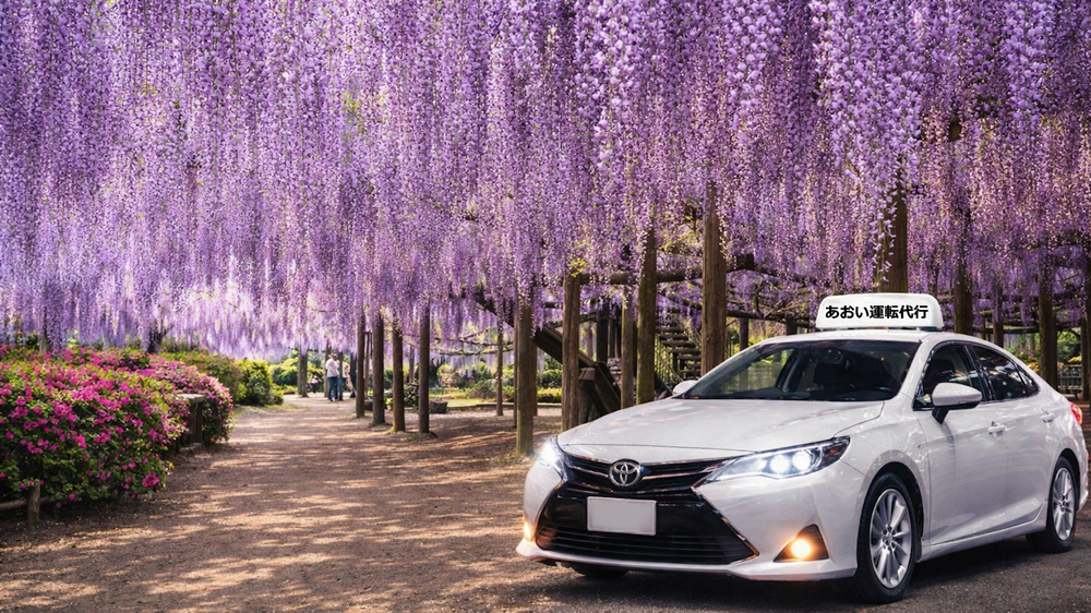 あおい運転代行の画像1