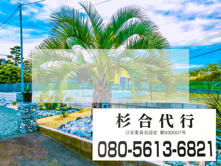 杉合代行の画像3