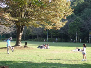 流山市総合運動公園