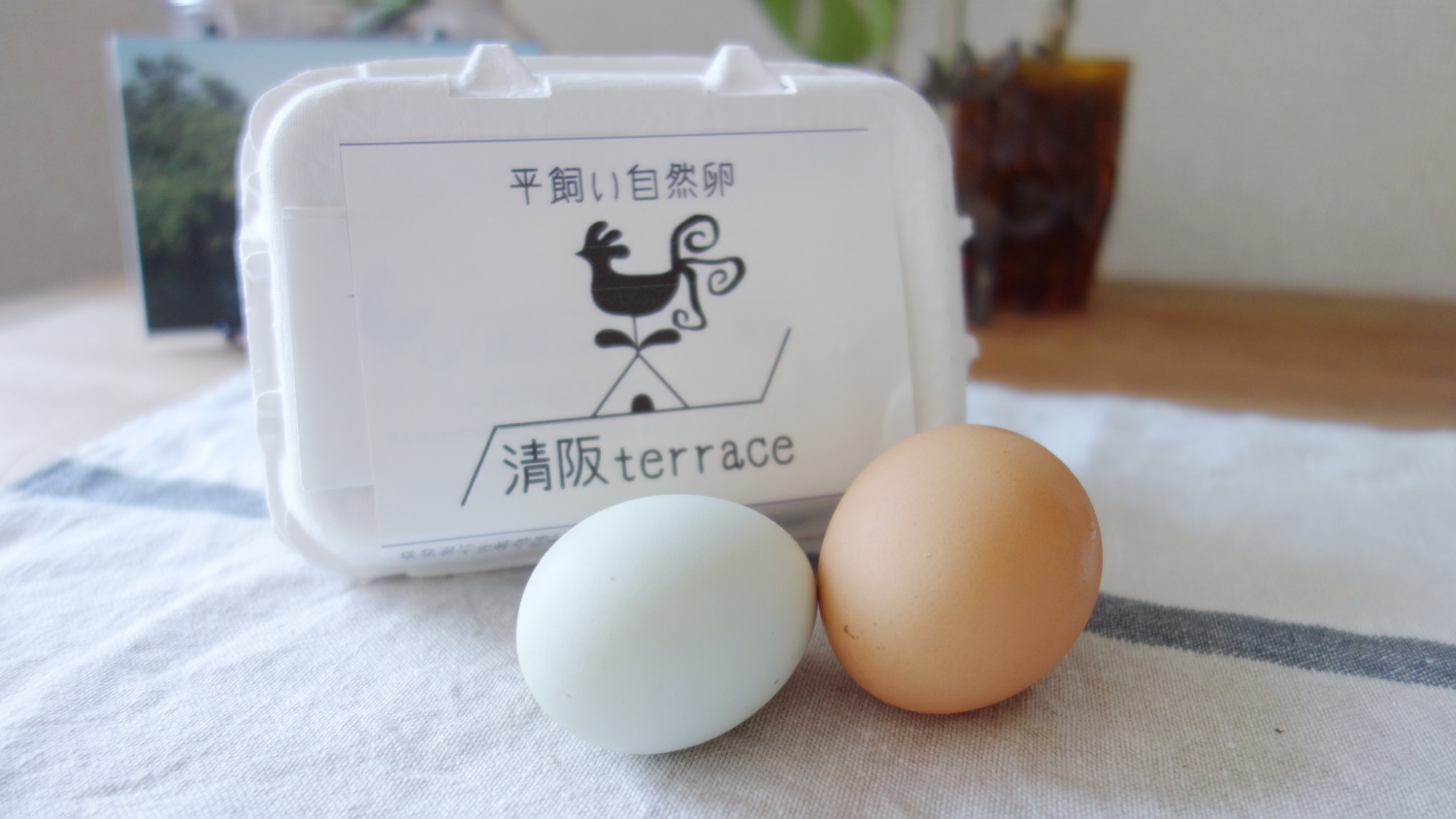 赤玉と珍しい青玉の卵6個セット。