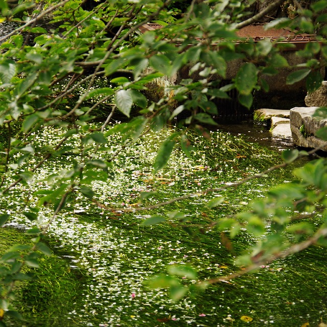 '醒ケ井水の駅'