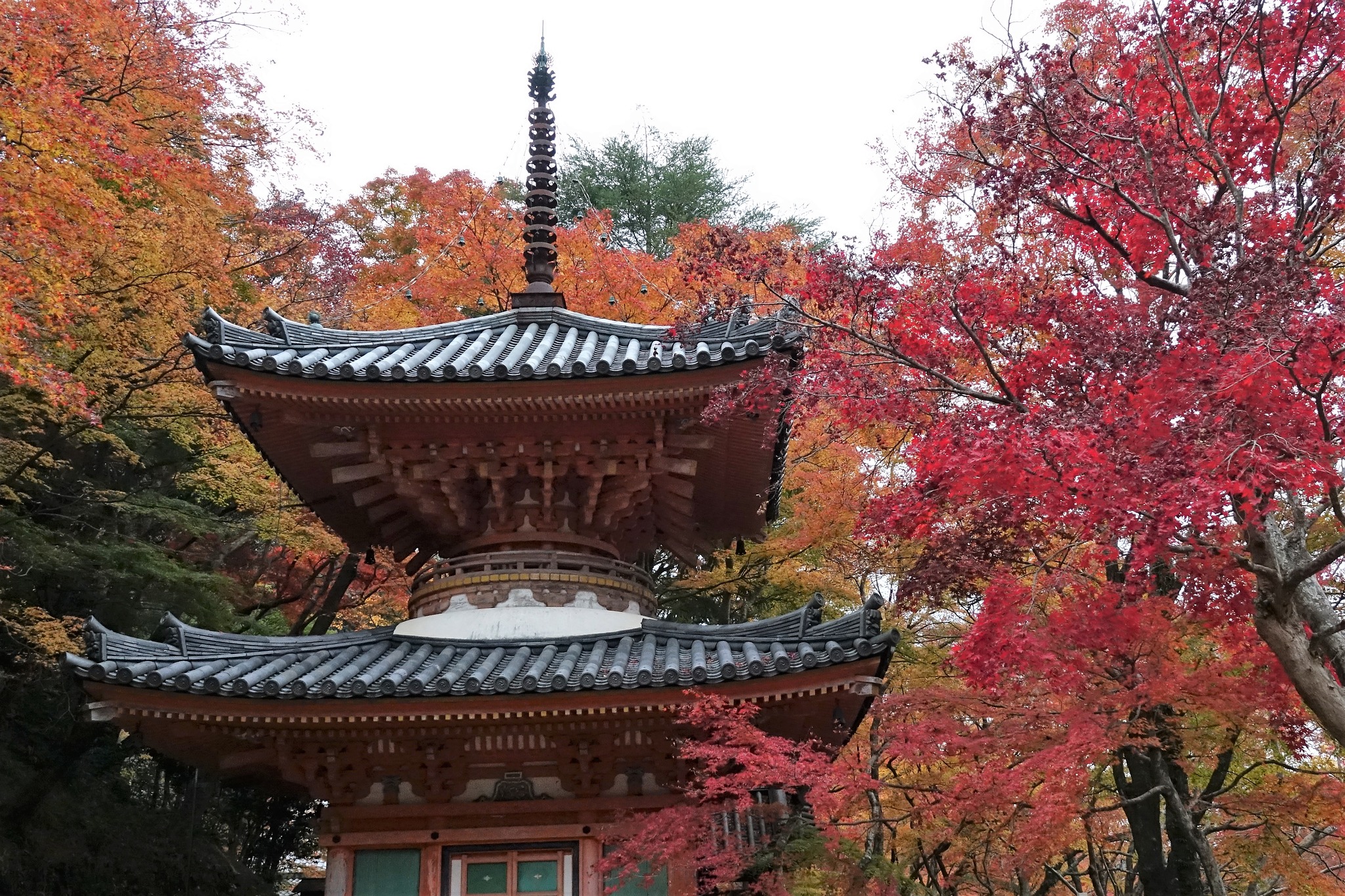 大威徳寺 torako / かしゃっと。