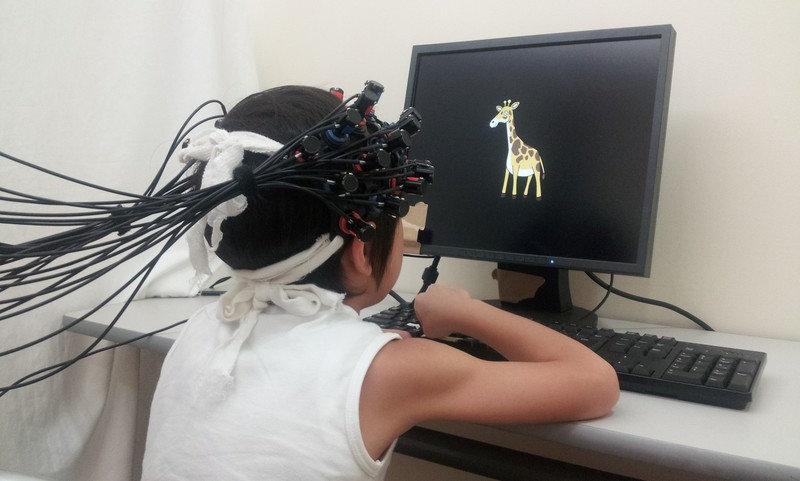 光ポトグラフィー検査