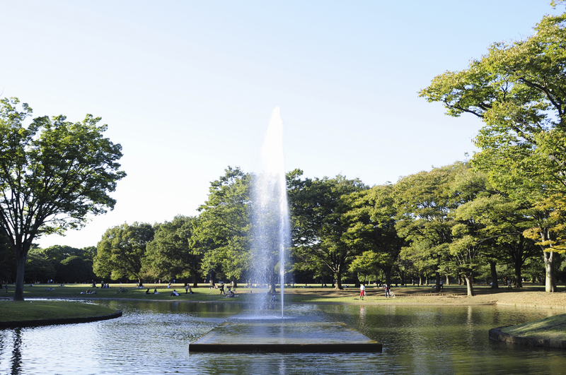 代々木公園