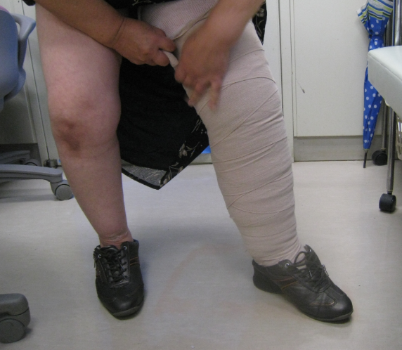 山本先生　提供写真