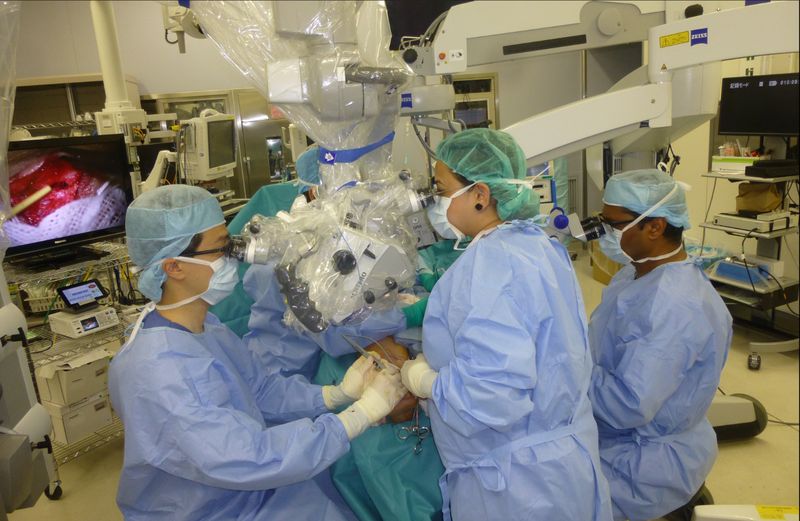 山本先生　提供写真