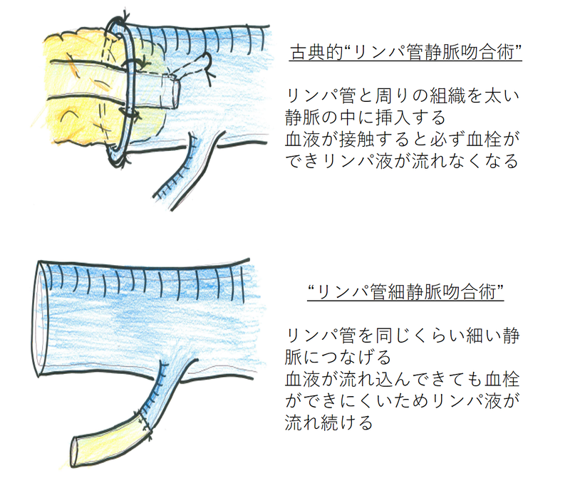 山本先生　提供イラスト