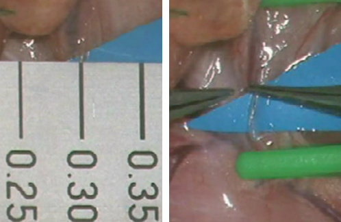 写真提供：山本匠先生