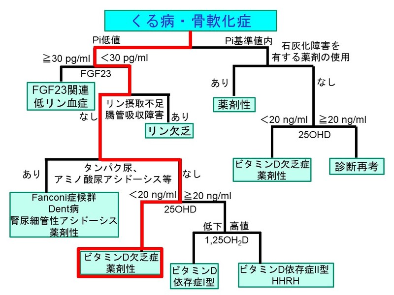 病因鑑別フローチャート　ビタミンD欠乏性くる病・骨軟化症
