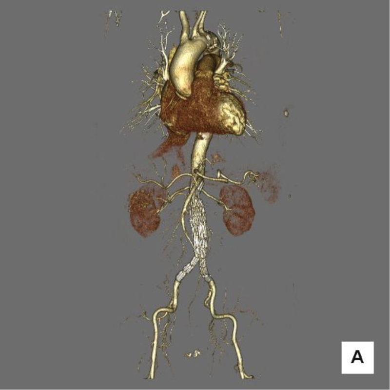 （提供：安達先生）