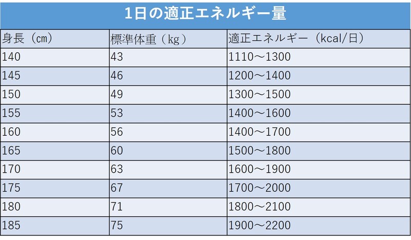 一日の適正エネルギー量