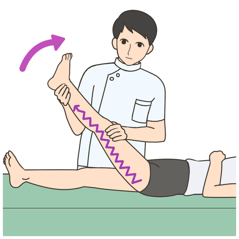 下肢挙上試験（SLR）