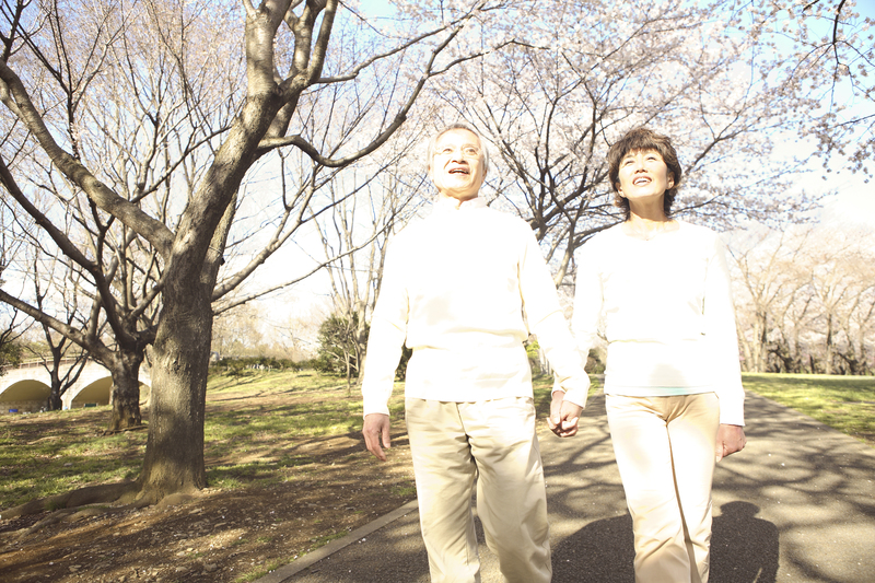 桜並木と老夫婦