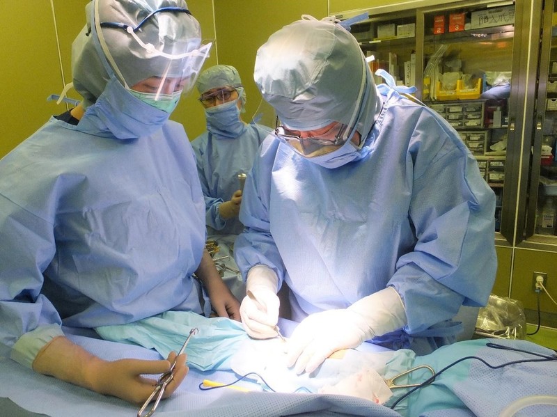 骨切り術の手術風景（写真右：石川博之先生）