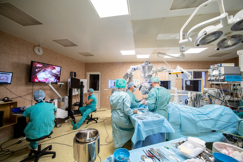 ライブ手術の様子（写真中央・手術中のジジ・フィードラー先生）