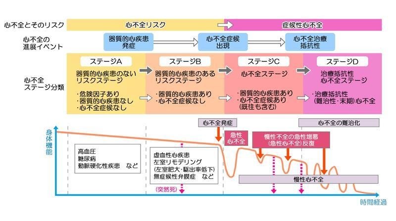 心不全ステージ