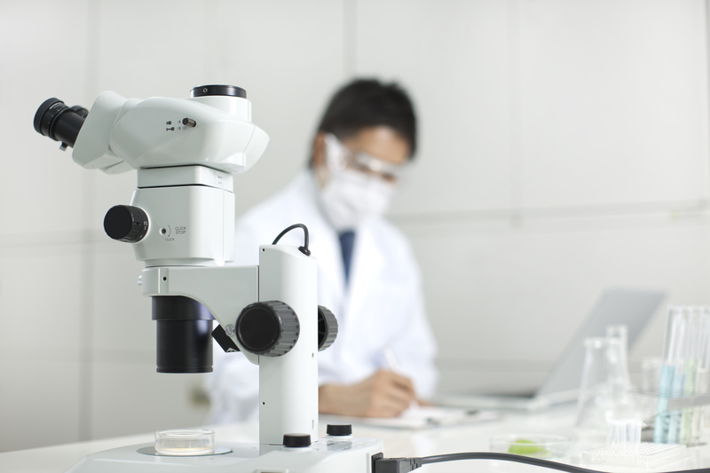 素材提供：PIXTA