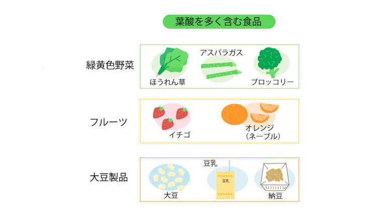 葉酸を多く含む食品