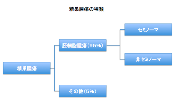 精巣腫瘍の種類