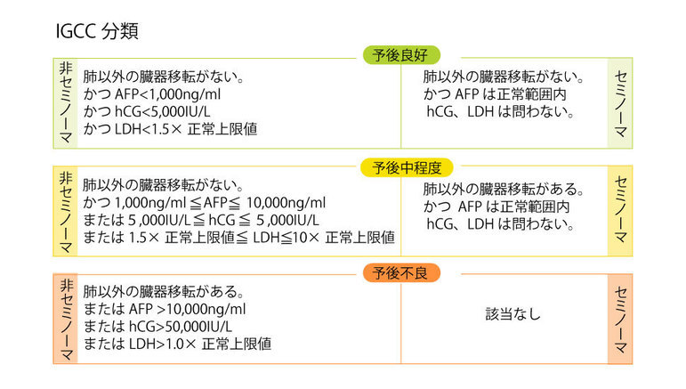 精巣腫瘍の治療の完治率や生存率ー精巣がんは治る メディカルノート