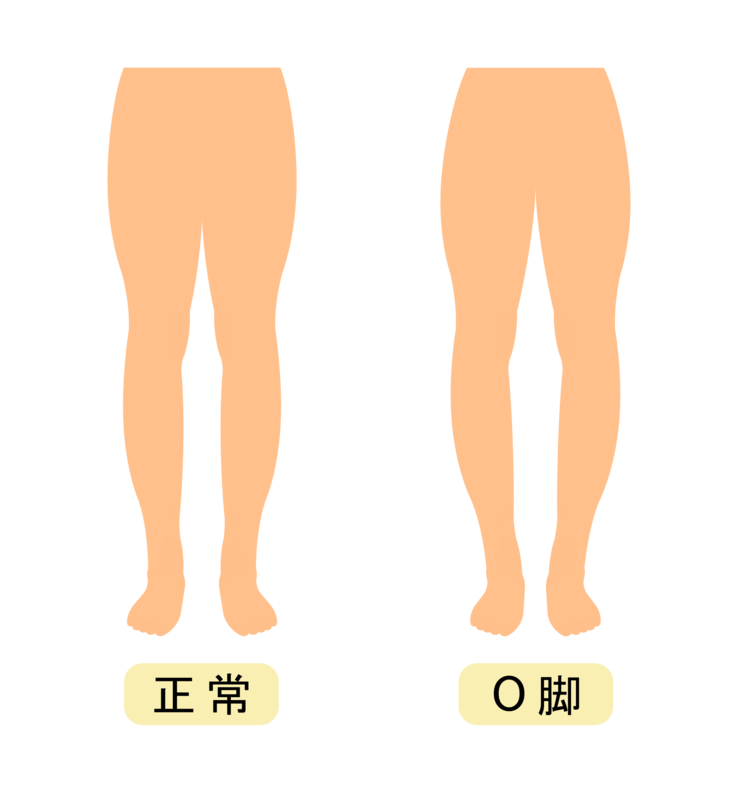 画像提供：PIXTA