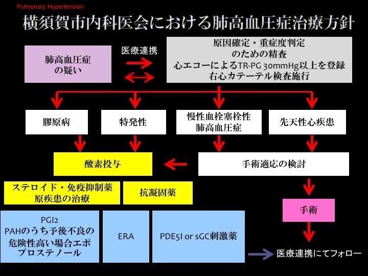 横須賀市内科医会における肺高血圧症治療方針