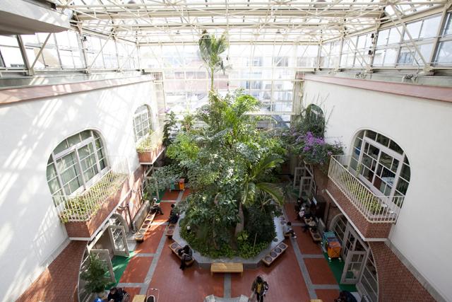 倉敷中央病院のシンボルにもなっている、開放感のある温室（写真提供：倉敷中央病院）